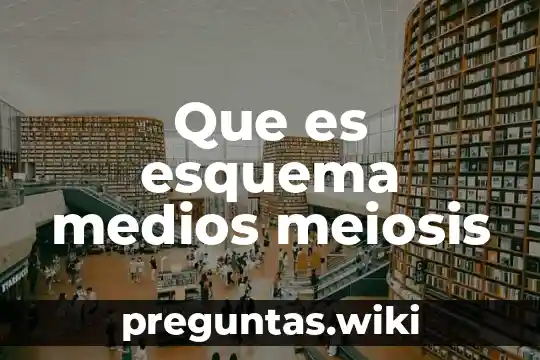 Que es esquema medios meiosis