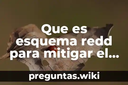 Que es esquema redd para mitigar el cambio climatico