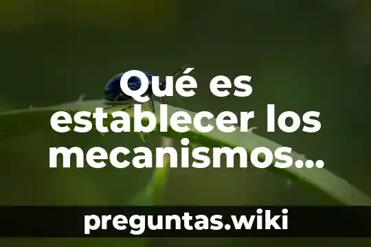 Qué es establecer los mecanismos de seguridad