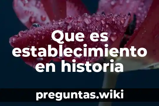 Que es establecimiento en historia