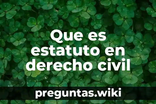 Que es estatuto en derecho civil