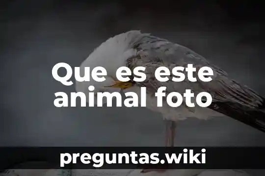 Que es este animal foto