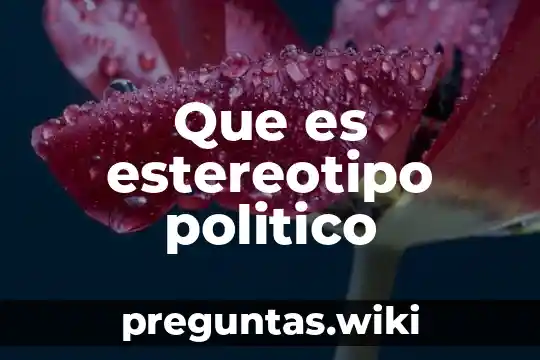 Que es estereotipo politico