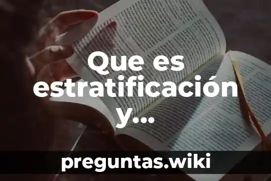 Que es estratificación y organizaciones sociales