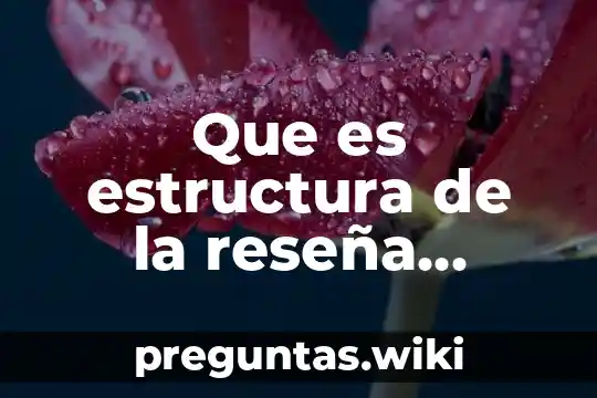 Que es estructura de la reseña critica