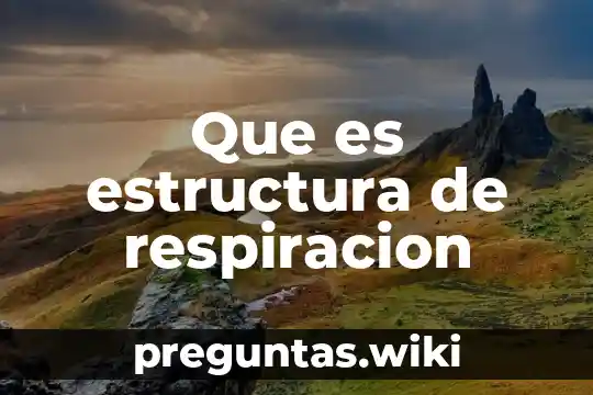 Que es estructura de respiracion