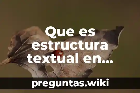 Que es estructura textual en descripcion