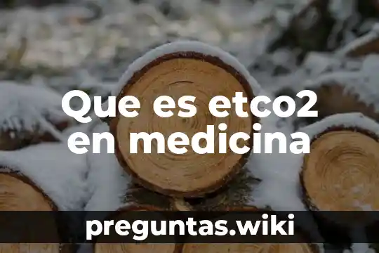 Que es etco2 en medicina