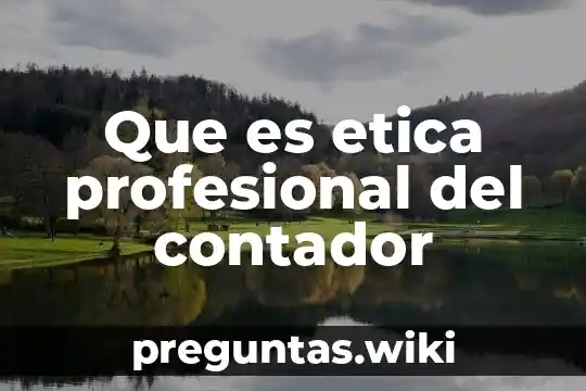 Que es etica profesional del contador