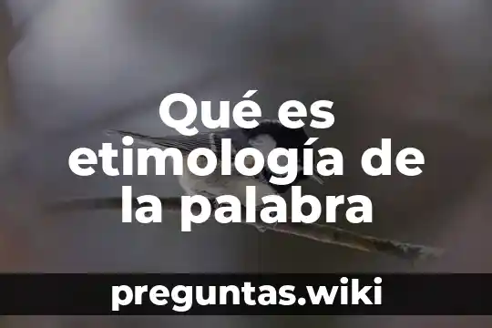 Qué es etimología de la palabra