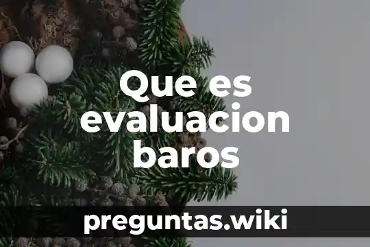Que es evaluacion baros