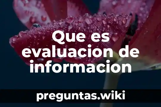 Que es evaluacion de informacion