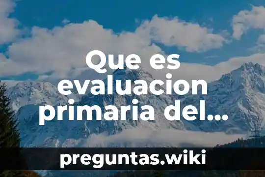 Que es evaluacion primaria del paciente