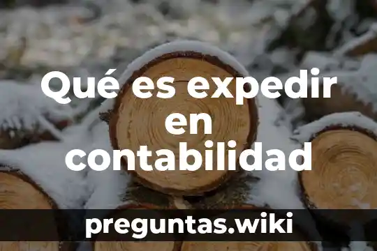 Qué es expedir en contabilidad