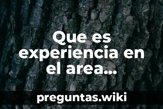 Que es experiencia en el area organizacional