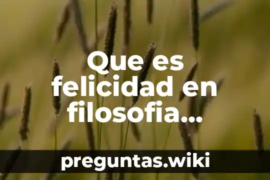 Que es felicidad en filosofia ejemplos