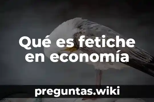 Qué es fetiche en economía