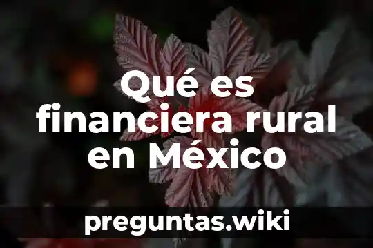 Qué es financiera rural en México