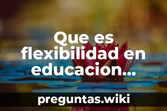 Que es flexibilidad en educacion secundaria