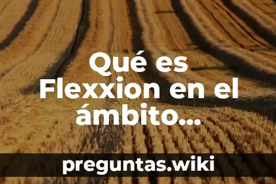 Qué es Flexxion en el ámbito educativo según varios autores