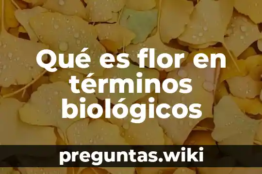 Qué es flor en términos biológicos