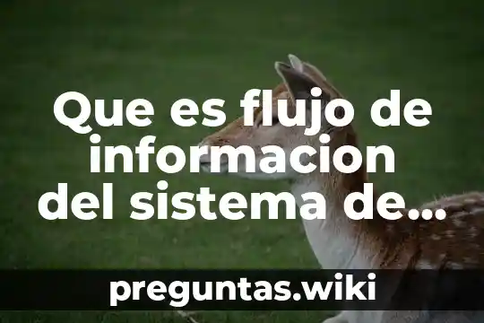 Que es flujo de informacion del sistema de costos
