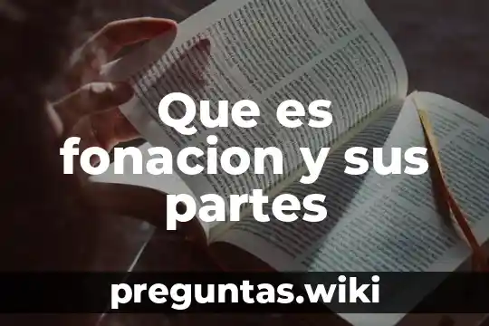 Que es fonacion y sus partes