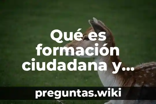 Qué es formación ciudadana y sociedad