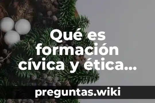 Qué es formación cívica y ética ejemplos