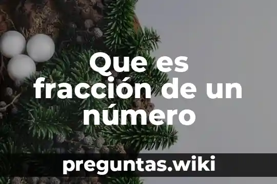 Que es fracción de un número