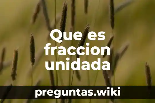Que es fraccion unidada