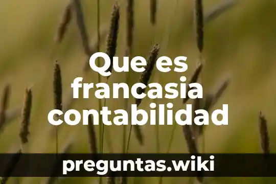 Que es francasia contabilidad