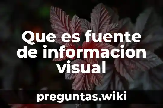 Que es fuente de informacion visual