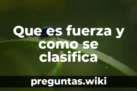 Que es fuerza y como se clasifica
