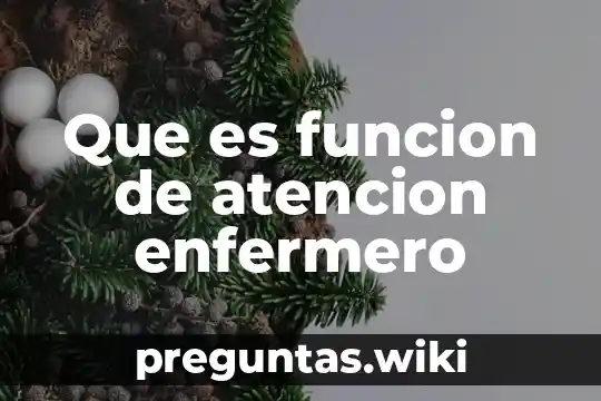 Que es funcion de atencion enfermero