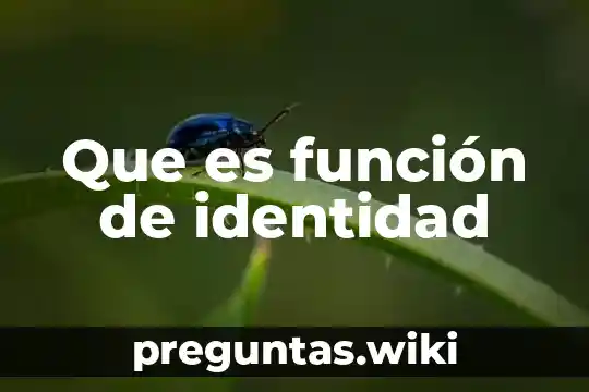 Que es función de identidad