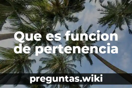 Que es funcion de pertenencia