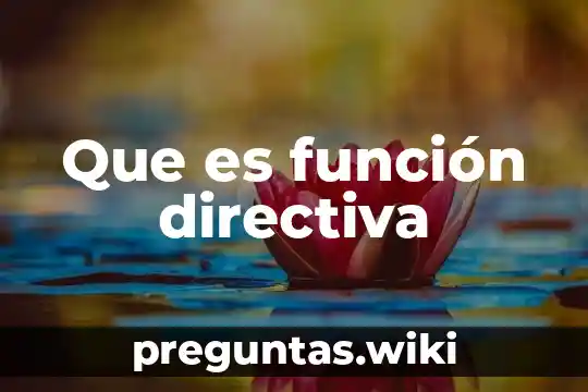 Que es función directiva