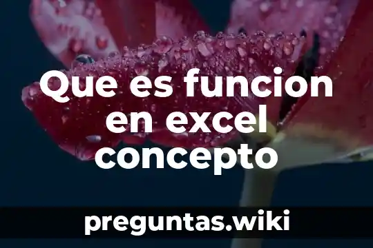 Que es funcion en excel concepto