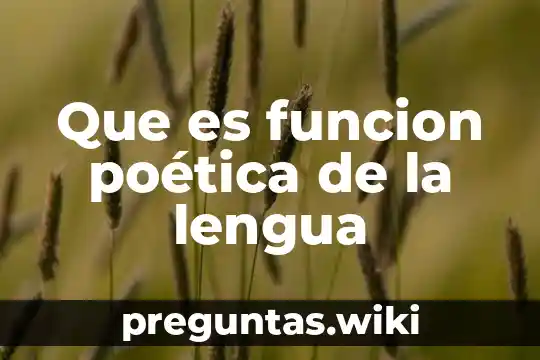 Que es funcion poética de la lengua