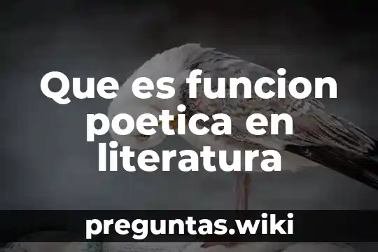 Que es funcion poetica en literatura