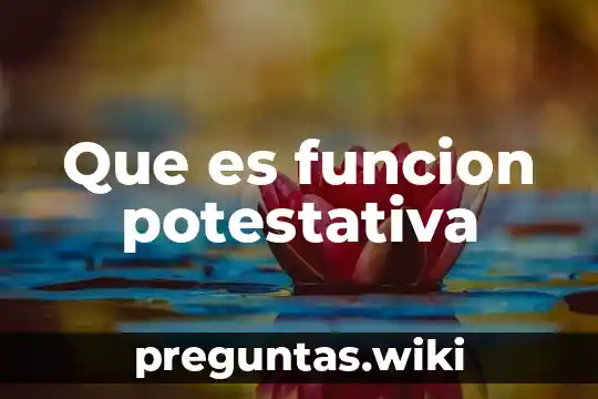 Que es funcion potestativa
