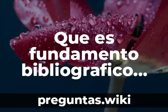 Que es fundamento bibliografico en un marco teorico