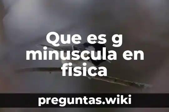 Que es g minuscula en fisica