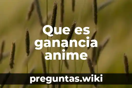 Que es ganancia anime