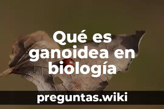 Qué es ganoidea en biología