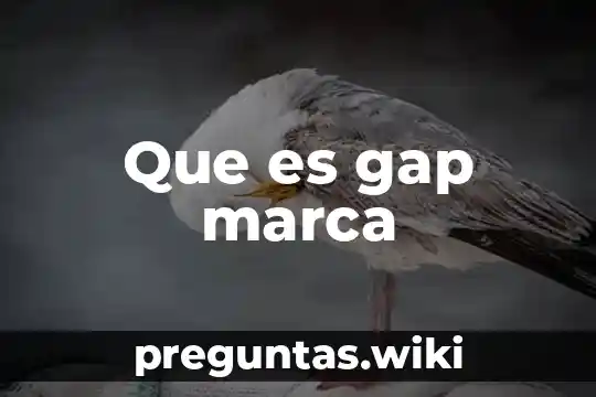 Que es gap marca