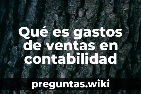 Qué es gastos de ventas en contabilidad