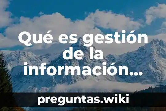 Qué es gestión de la información para la investigación documental