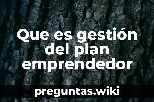 Que es gestión del plan emprendedor